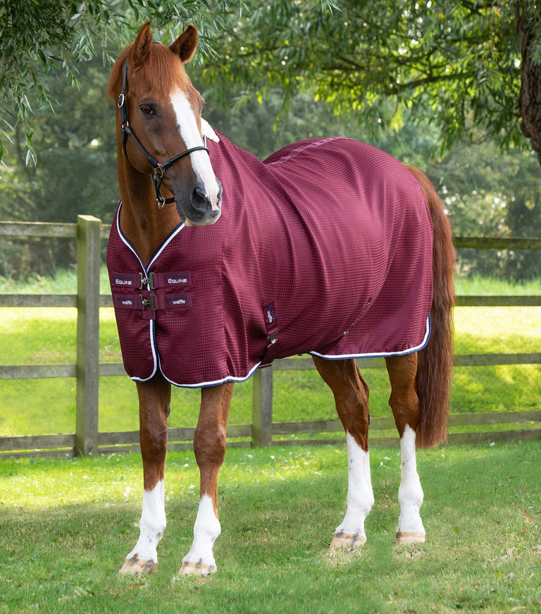 Premier Equine Buster Waffle Horse Travel / Cooler / Stable Rug