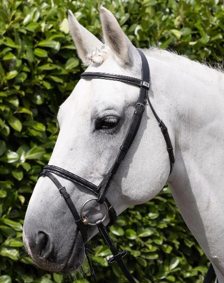 Premier Equine Raised Jumping Bridle with Flash Noseband