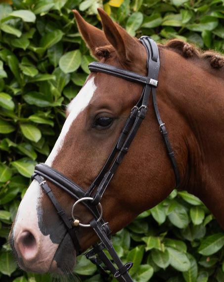 Premier Equine Pro Elevator Bridle