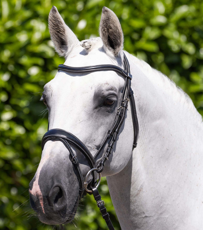 Premier Equine Cassano Snaffle Bridle (Brown)