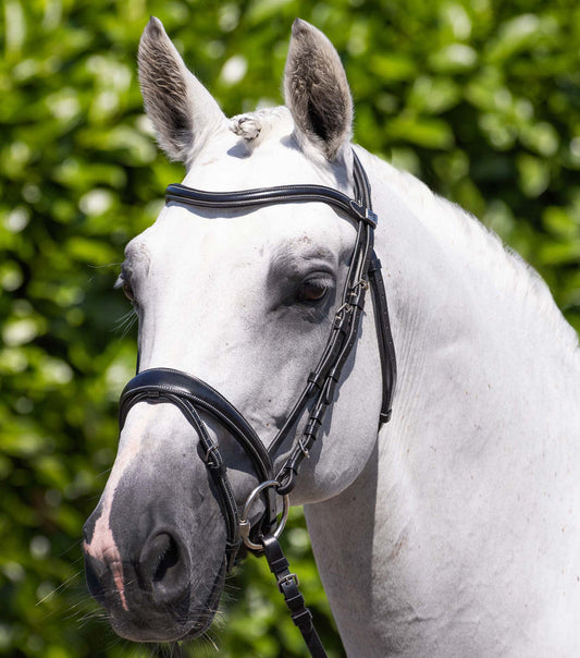 Premier Equine Cassano Snaffle Bridle (Black)