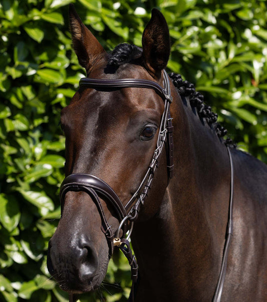 Premier Equine Cassano Snaffle Bridle (Brown)