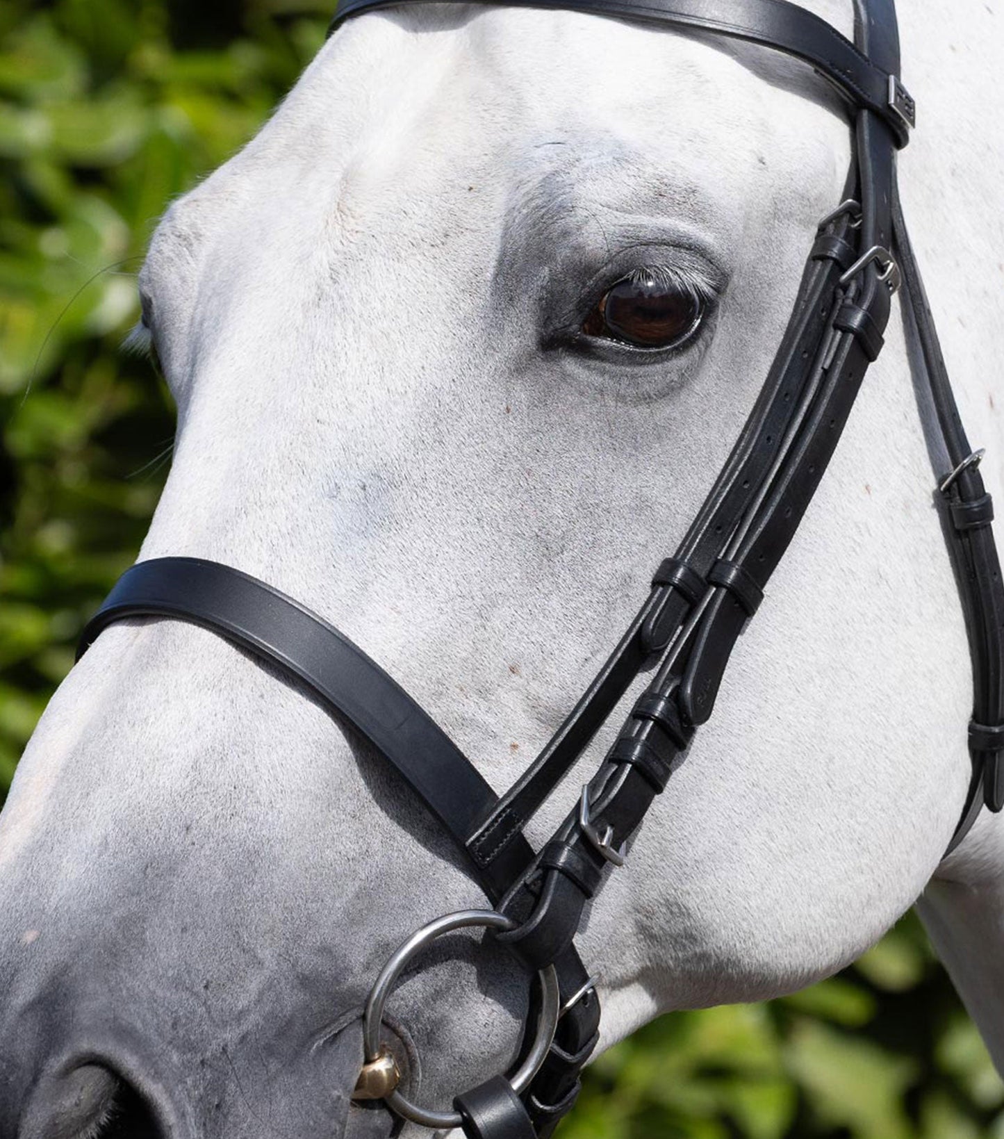Description:cavesson noseband for racing_colour:black_position:2