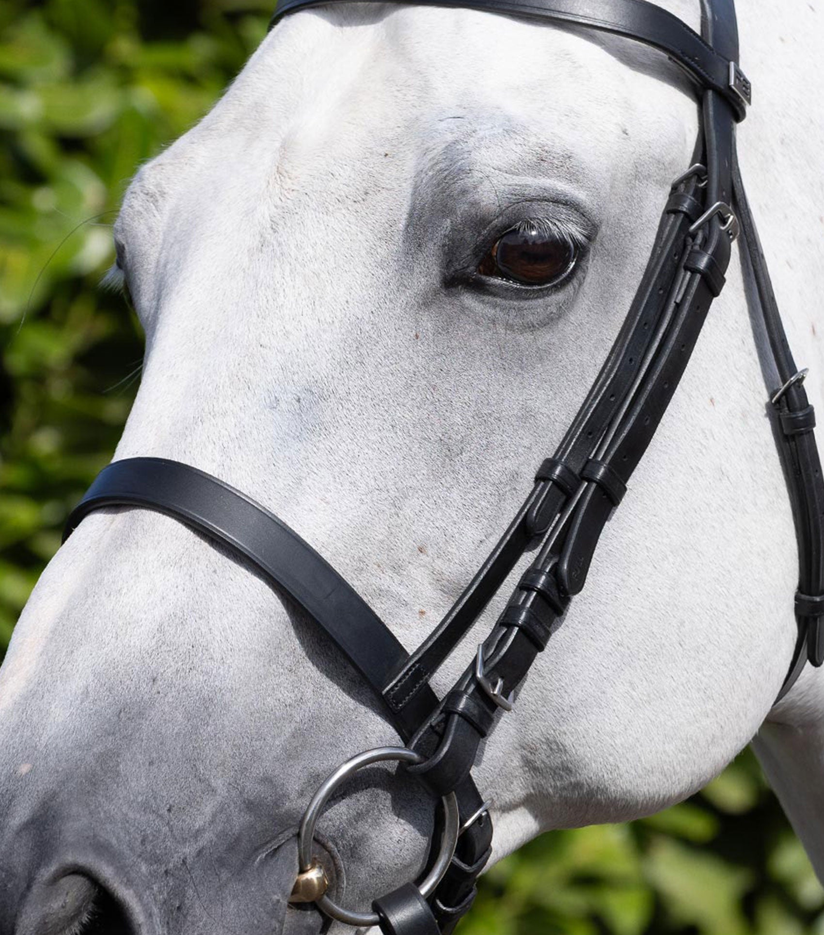 Description:cavesson noseband for racing_colour:black_position:2