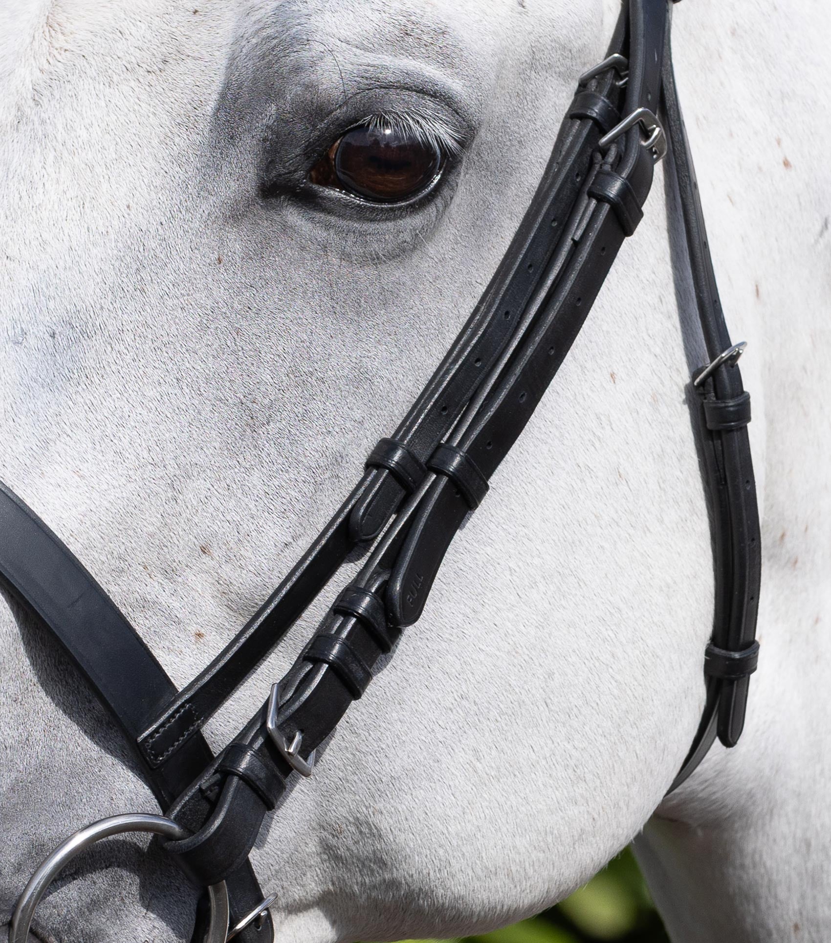 Description:cheek pieces for exercise racing bridle_Colour:black_Position:2