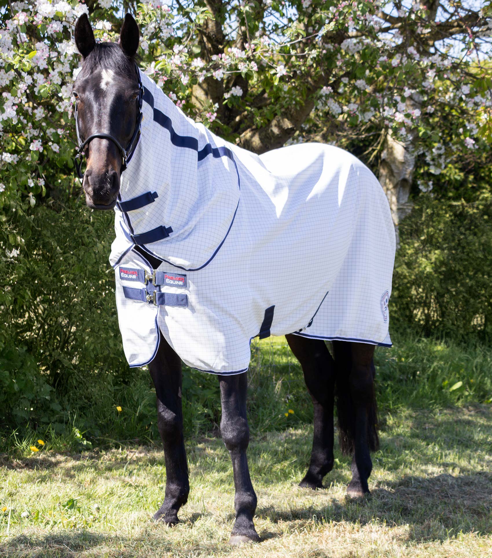 Description:Cotone Stable Sheet with neck cover_Colour:Navy Check_Position:1