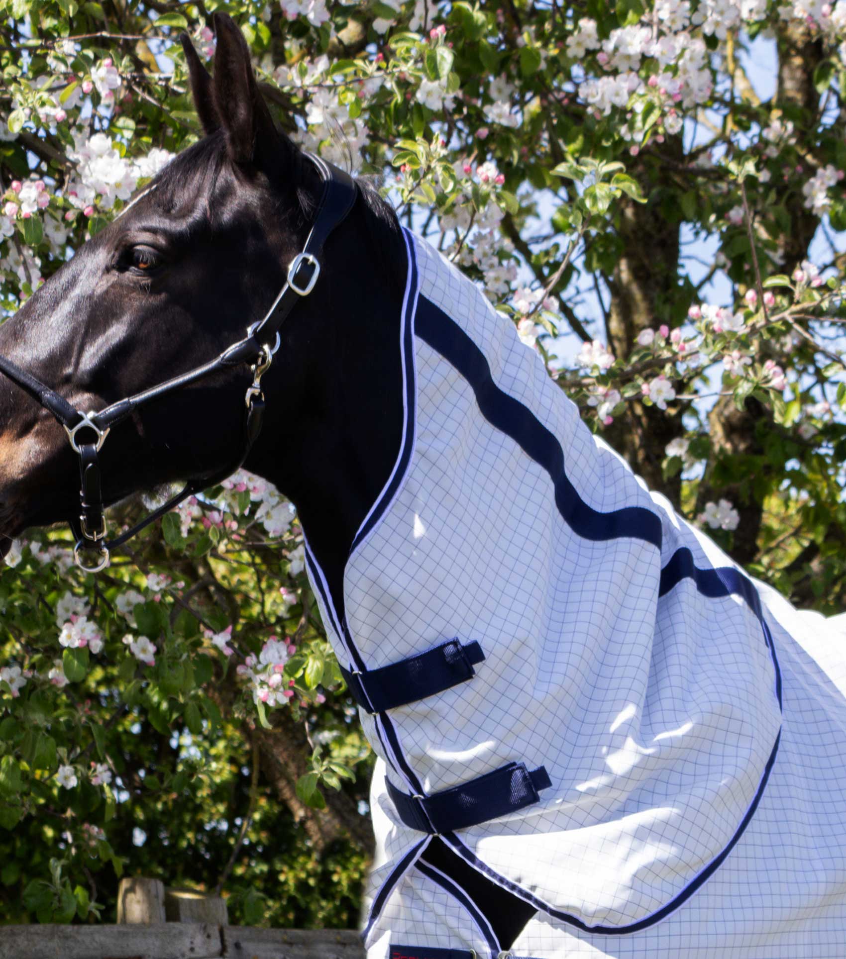 Description:Cotone Stable Sheet with neck cover_Colour:Navy Check_Position:3