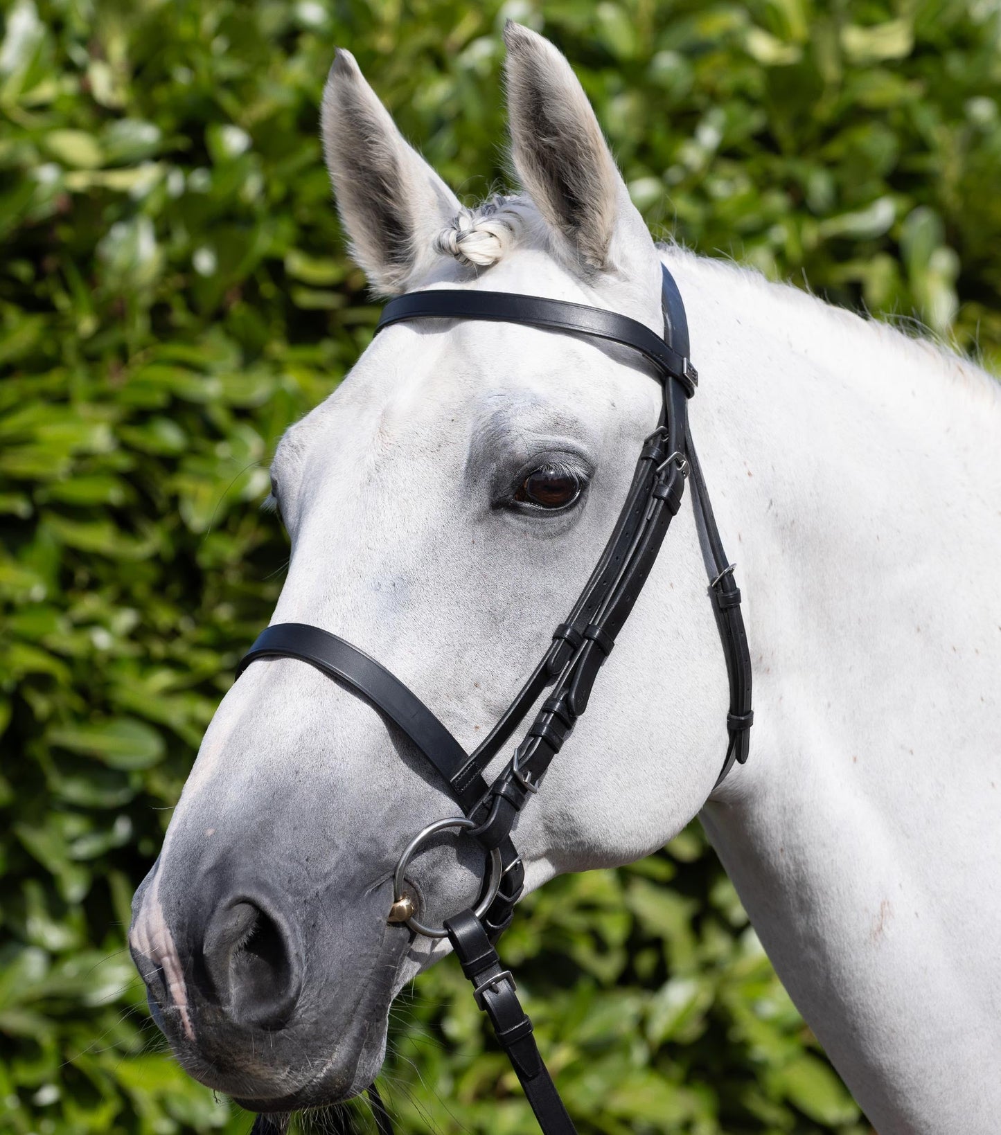 Description:Exercise Racing Bridle with Plain Cavesson Noseband_Colour:Black_Position:1