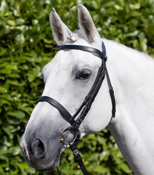 Description:Exercise Racing Bridle with Plain Cavesson Noseband_Colour:Black_Position:1