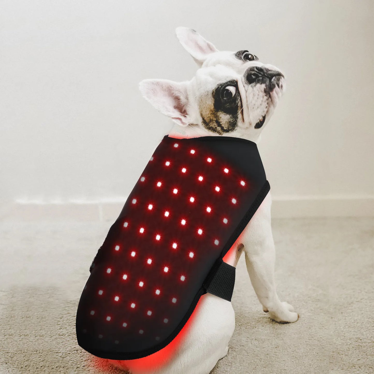 Infrared Red Light Jacket for Dogs or Cats