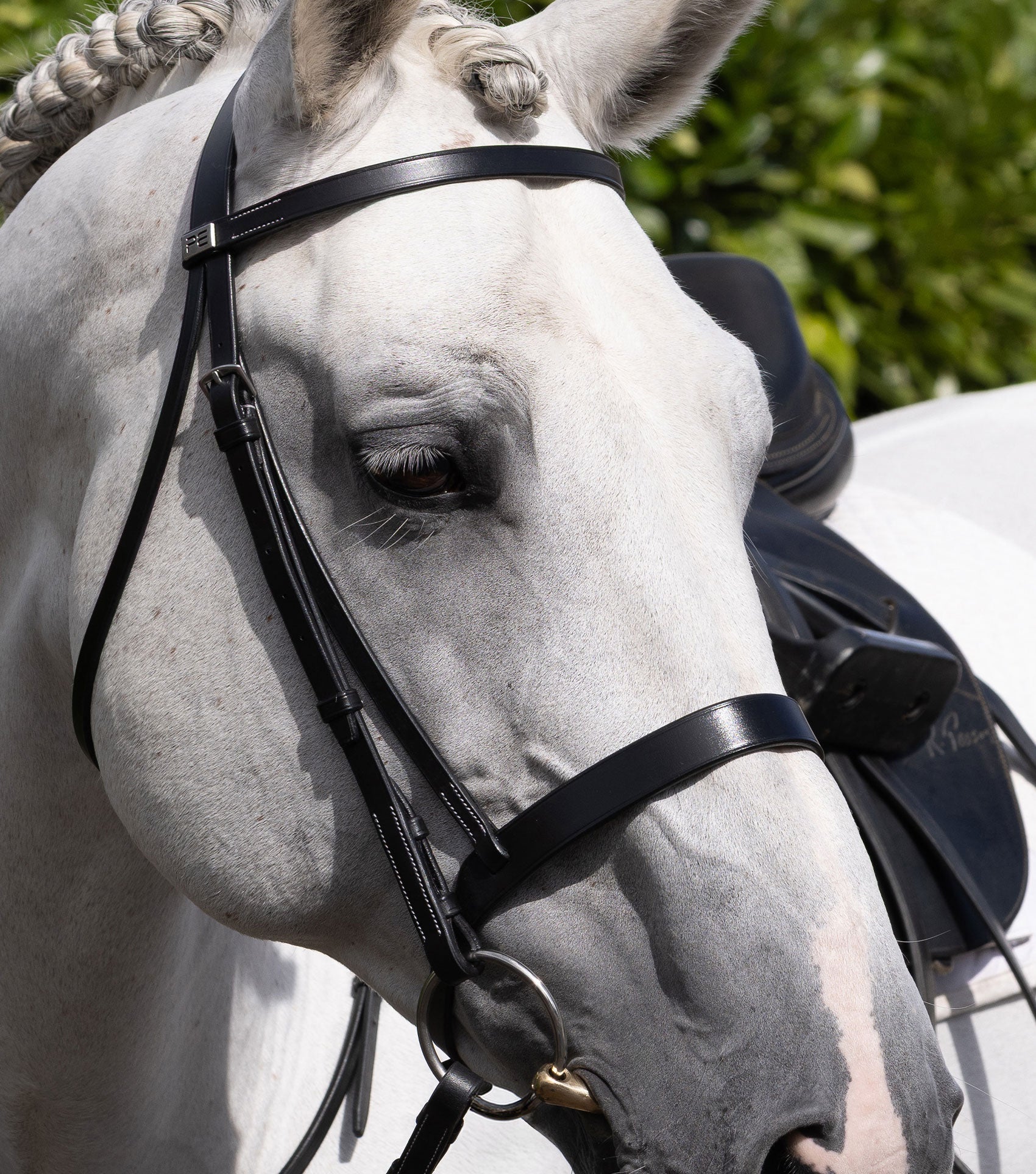 Description:Hunter Cavesson Noseband_Colour:Black_Position:2