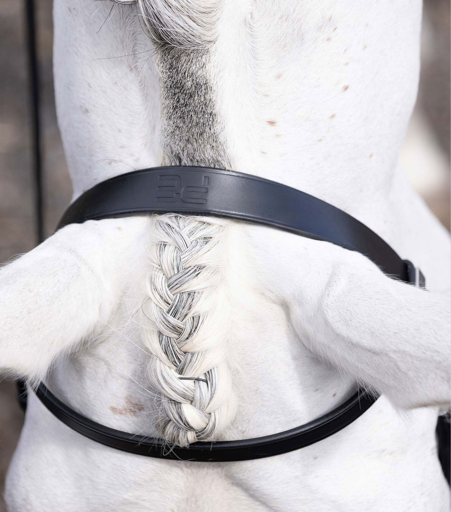 Description:Hunter Plain Bridle Headpiece_Colour:Black_Position:2
