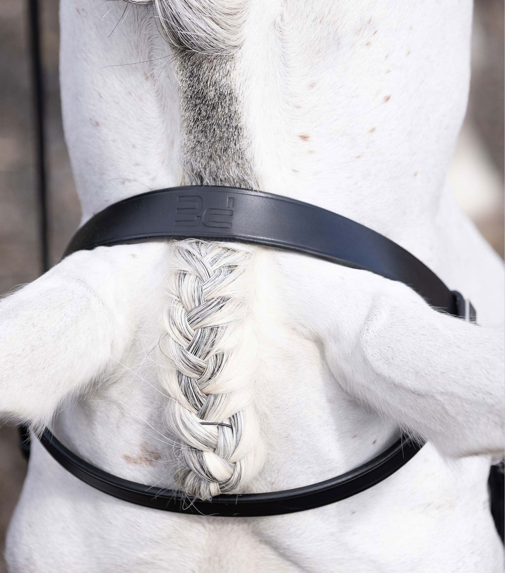 Description:Hunter Plain Bridle Headpiece_Colour:Black_Position:2