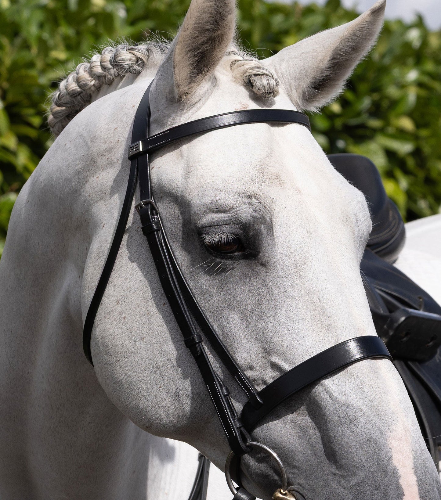 Description:Hunter Plain Bridle Headpiece_Colour:Black_Position:3