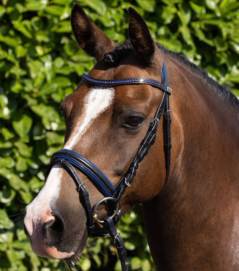 Premier Equine Mineo Pony Snaffle Bridle