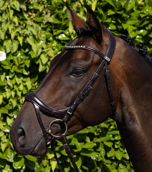 Premier Equine Palazzo Anatomical Bridle