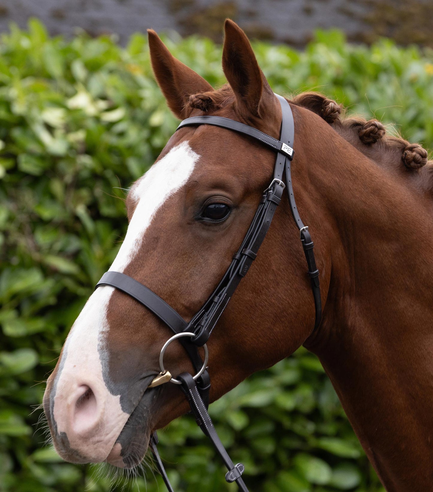 Description:plain browband for hunter bridle_Colour:dark havana_Position:2