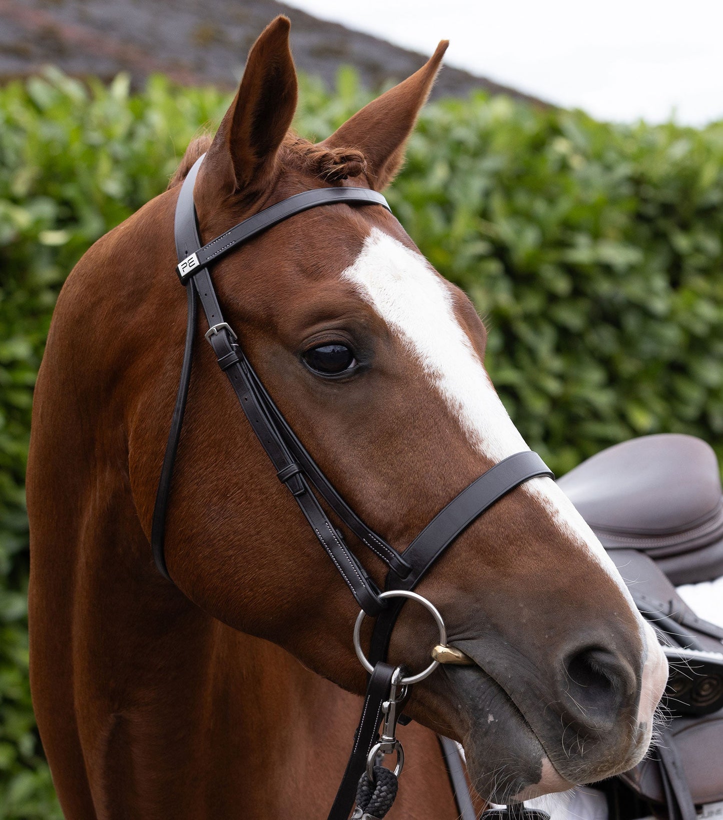 Description:plain browband for hunter bridle_Colour:dark havana_Position:6