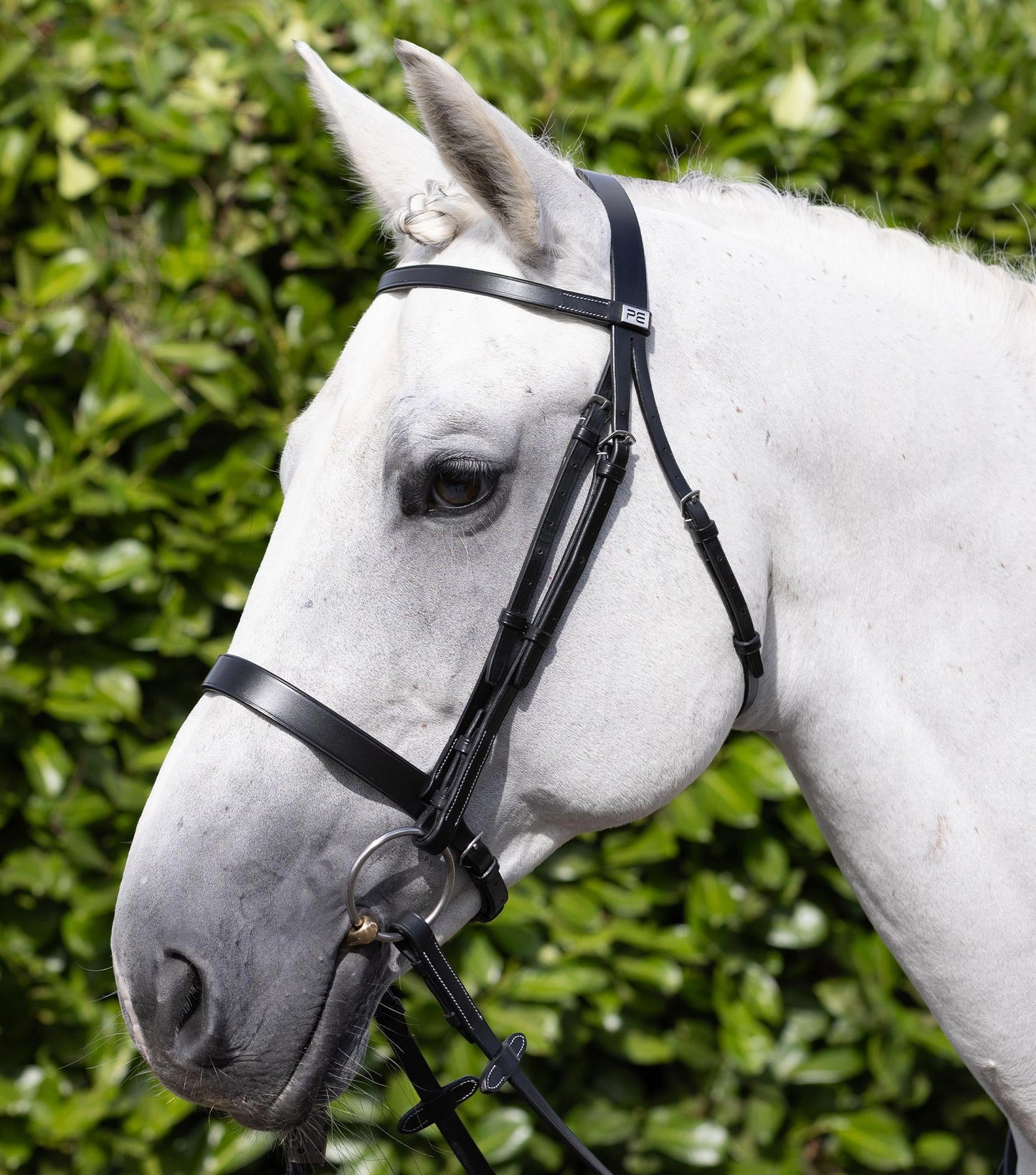 Description:plain browband for hunter bridle_Colour:black_Position:2