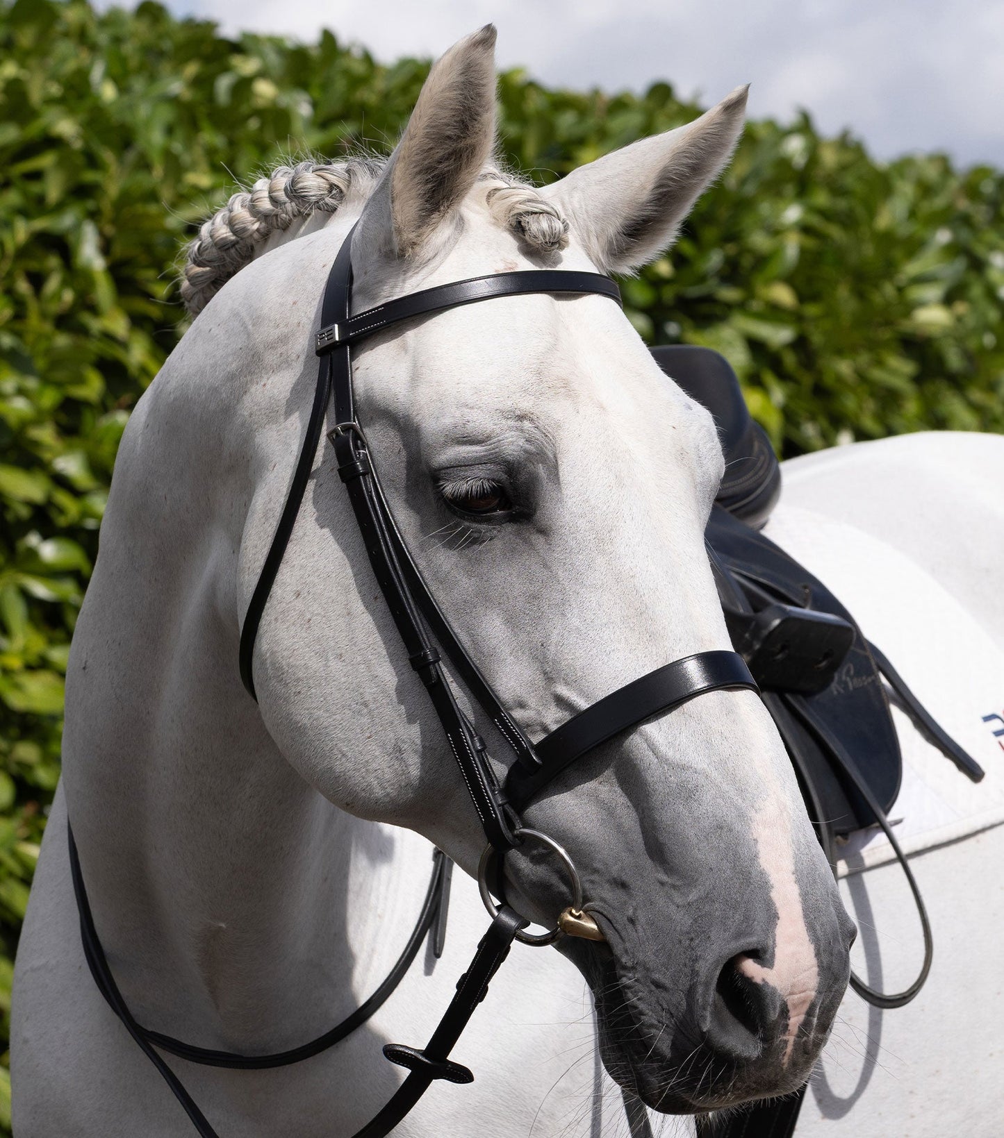 Description:plain browband for hunter bridle_Colour:black_Position:6
