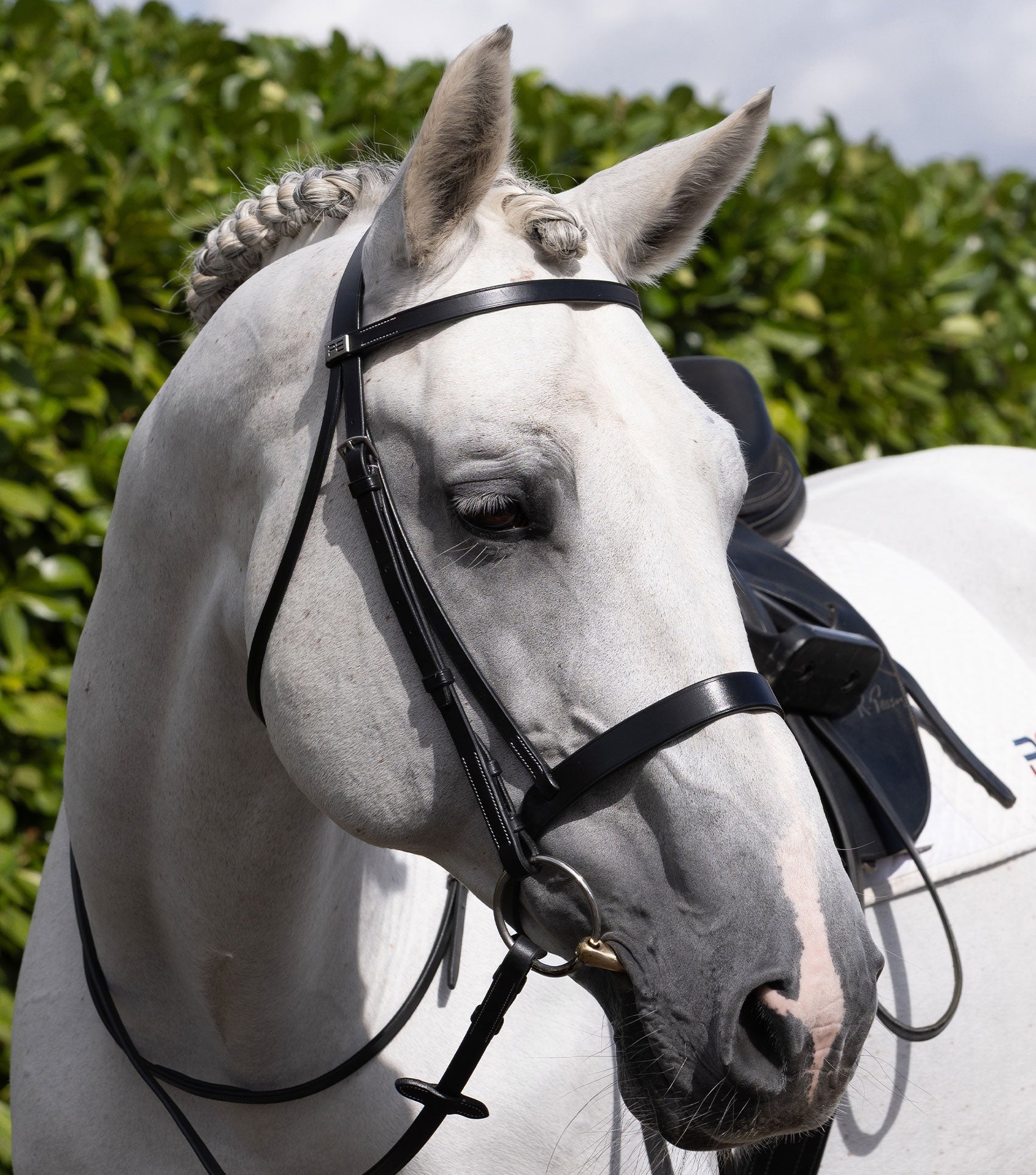 Description:plain browband for hunter bridle_Colour:black_Position:6