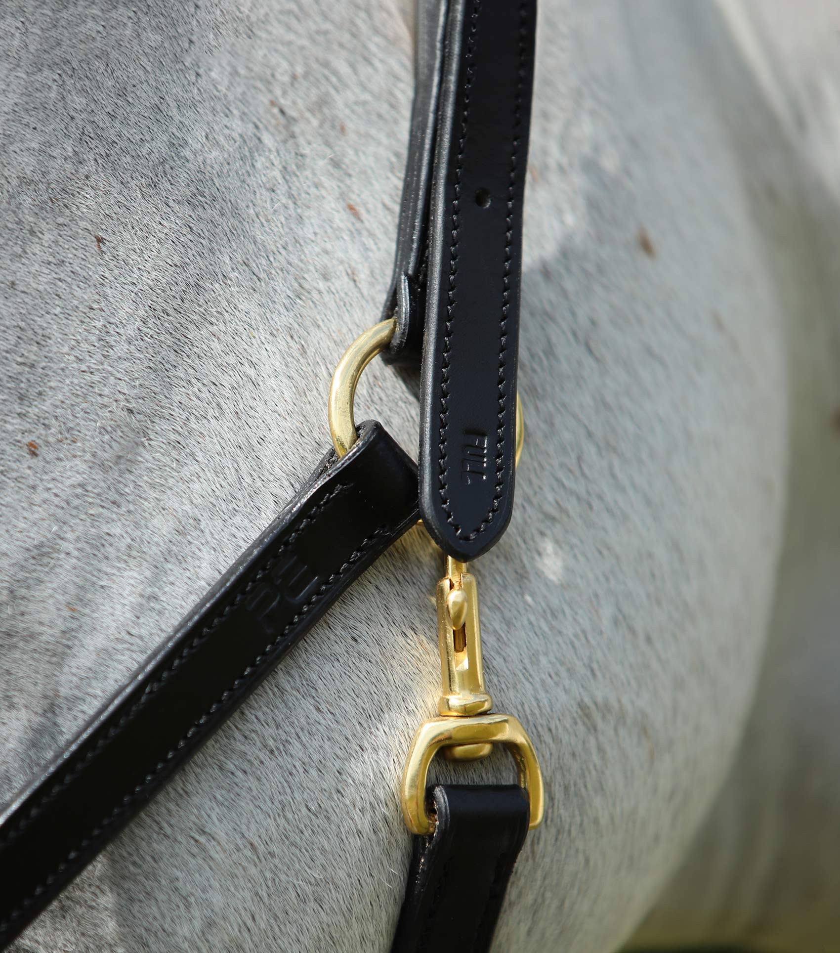 Description:Plain Leather Head Collar_Colour:Black_Position:2