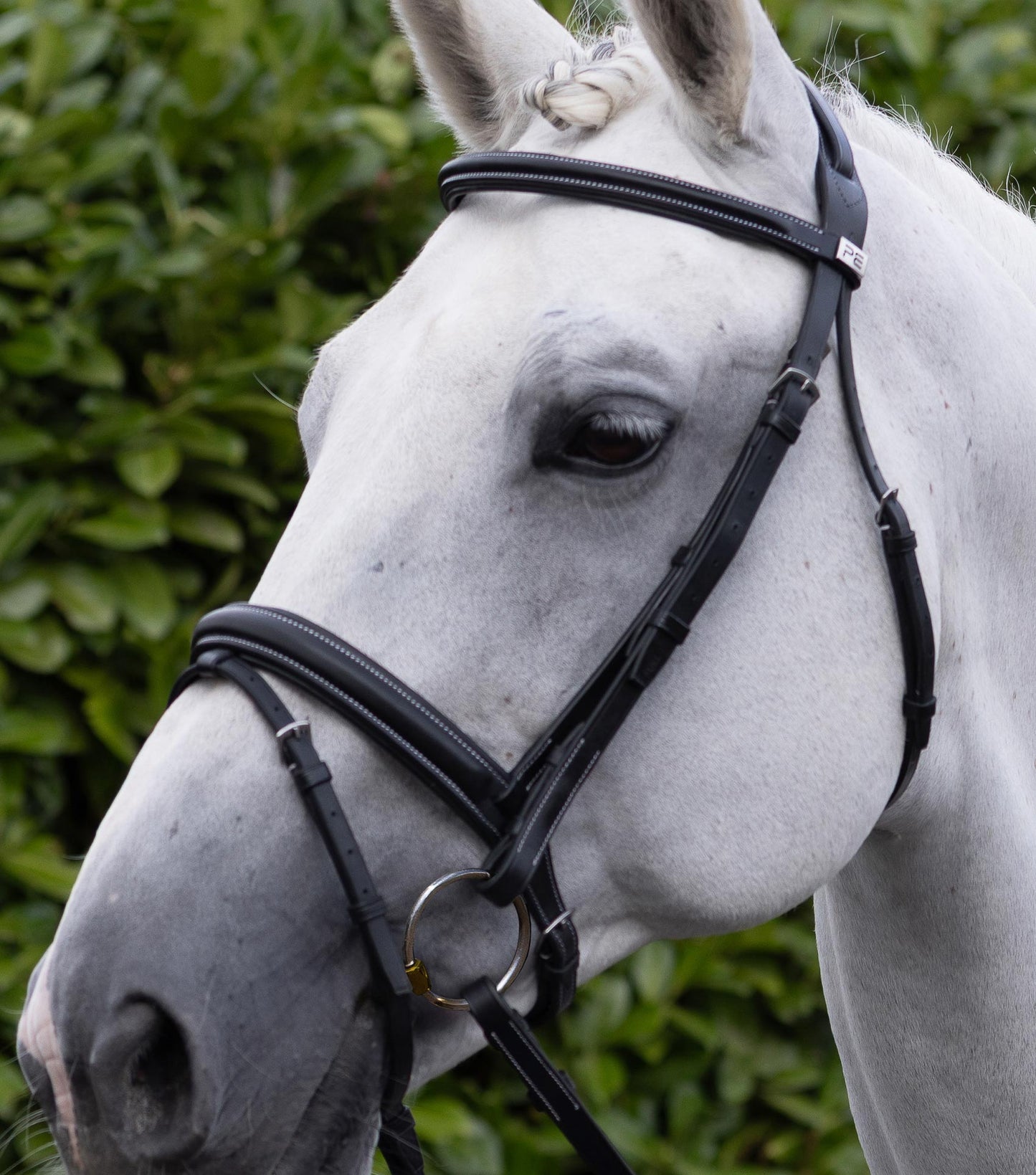 Description:Pro elevator Bridle headpiece_Colour:Black_Position:6
