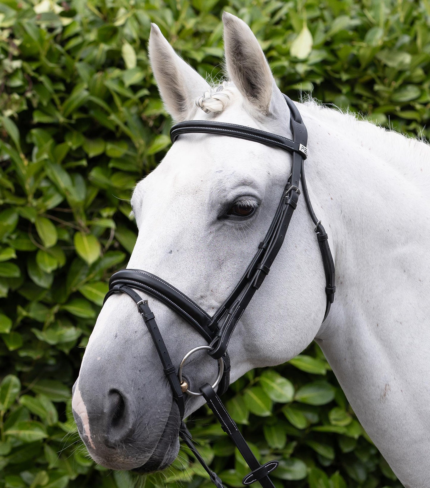 Description:Pro elevator padded browband_Colour:black_Position:2