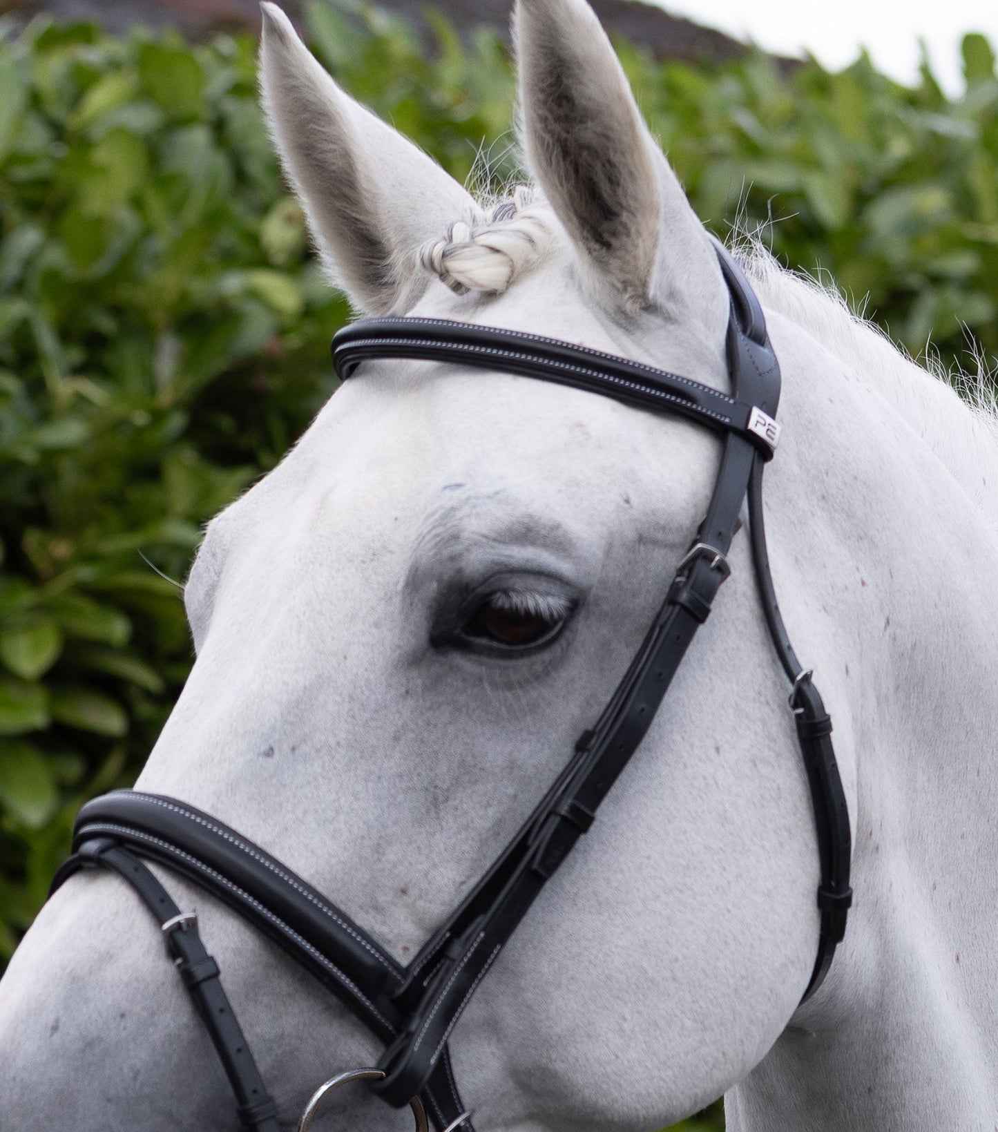 Description:Pro elevator padded browband_Colour:black_Position:6