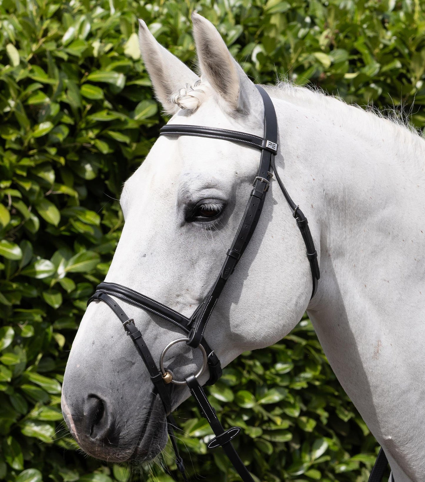 Description:Raised browband for raised jumping bridle_colour:black_position:2