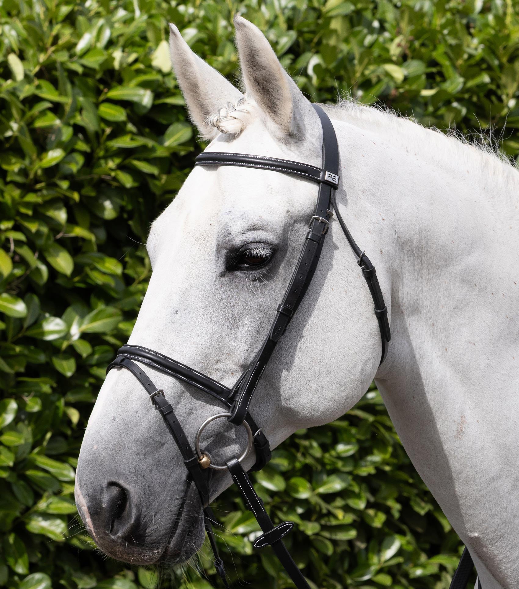 Description:Raised browband for raised jumping bridle_colour:black_position:2