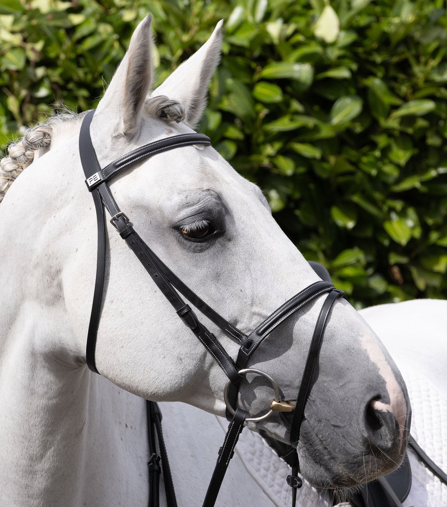 Description:Raised browband for raised jumping bridle_colour:black_position:6