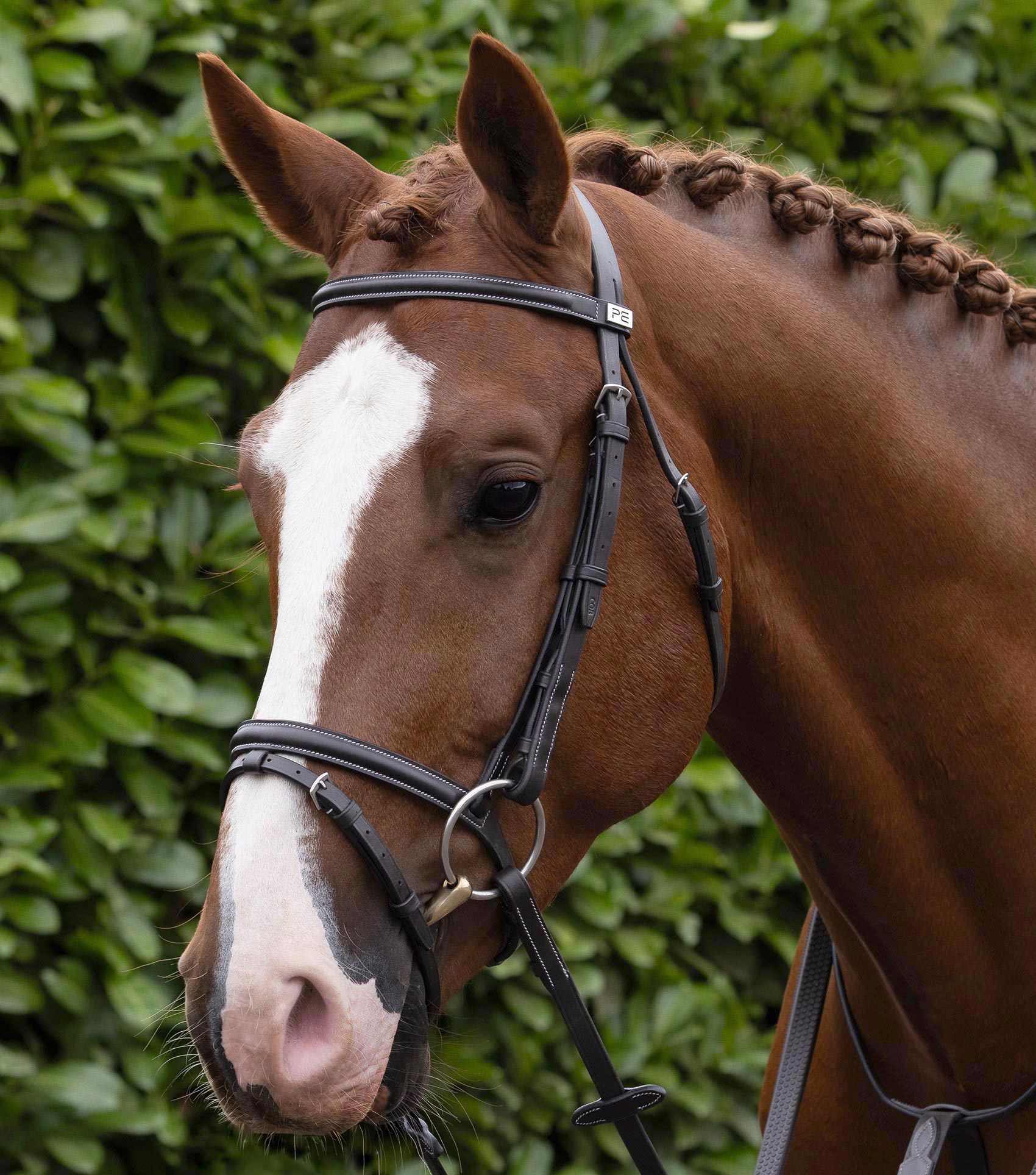 Description:Raised Jumping Bridle_Colour:Dark Havana_Position:1