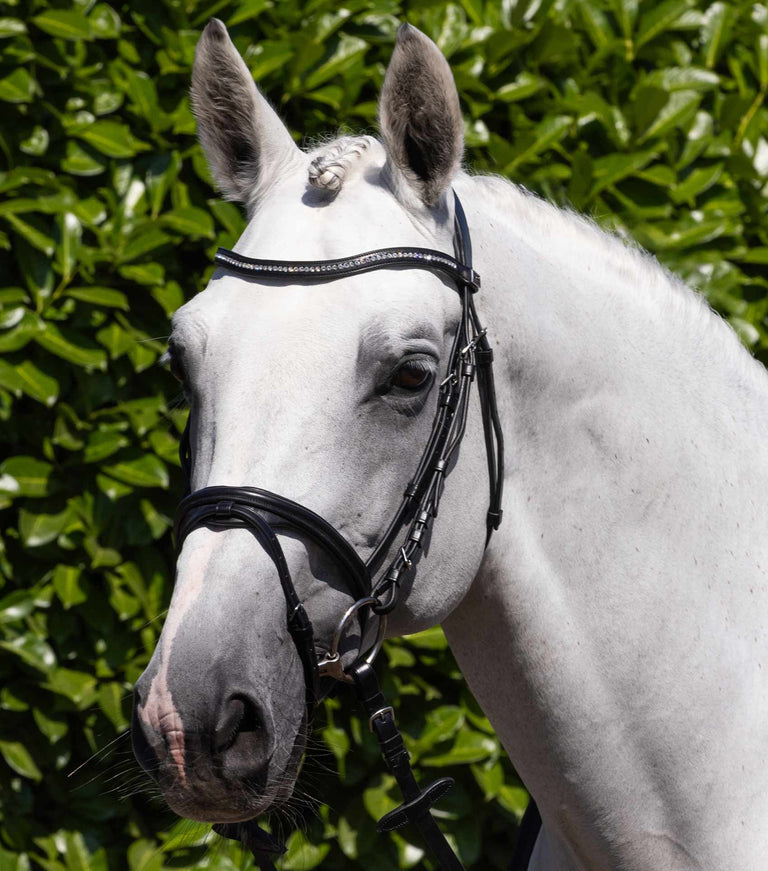 Premier Equine Rivere Snaffle Bridle