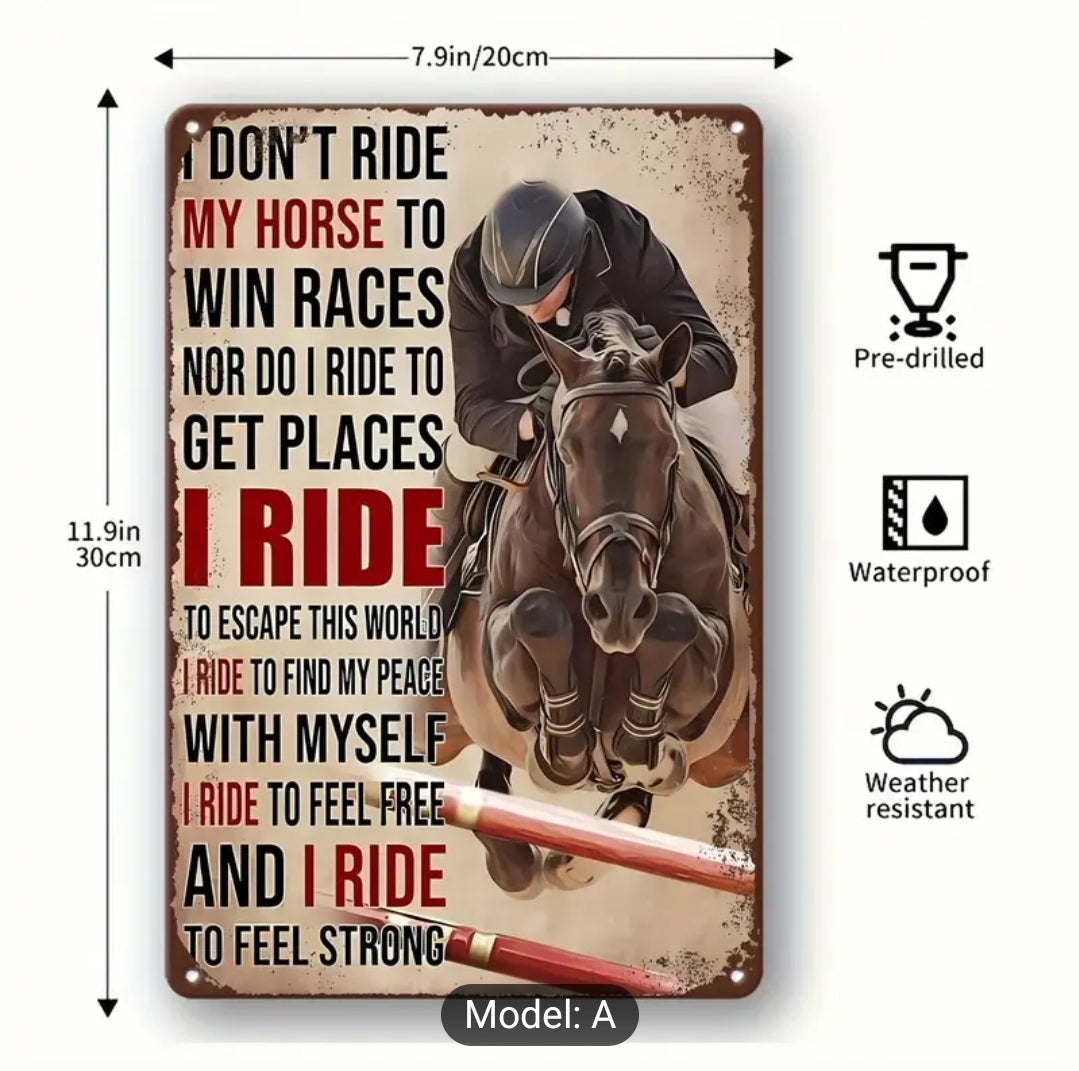 'Why I ride' metal sign (show jumping pic)