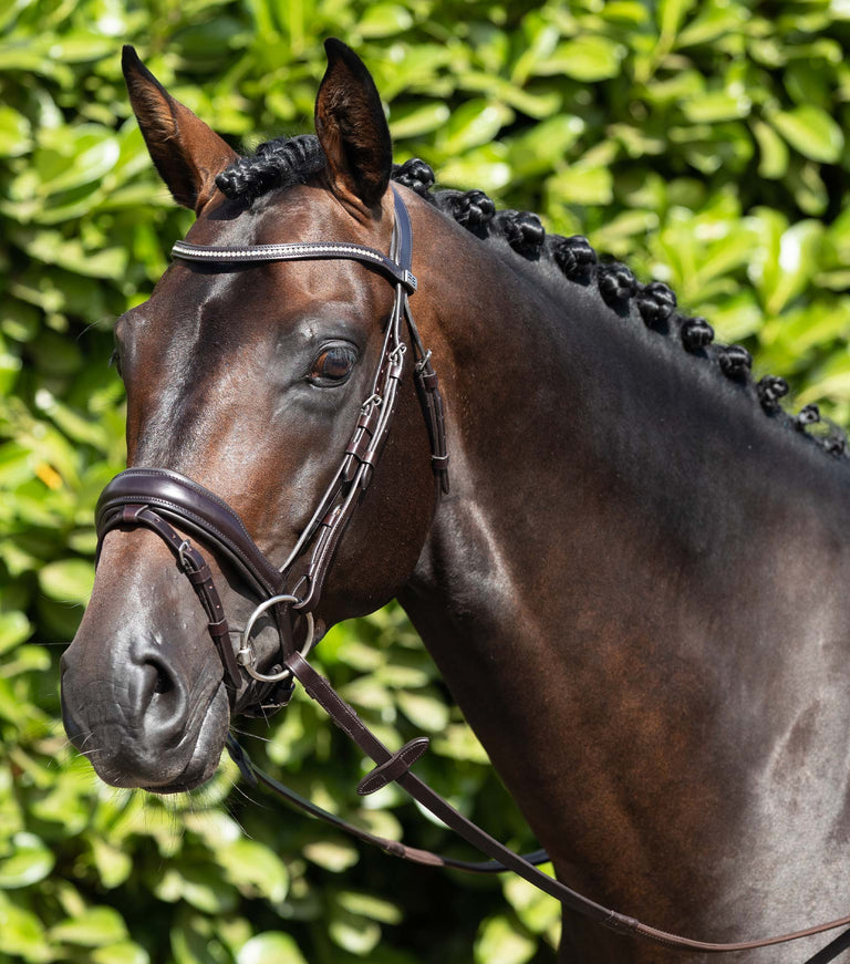 Premier Equine Stellazio Anatomic Snaffle Bridle with Flash