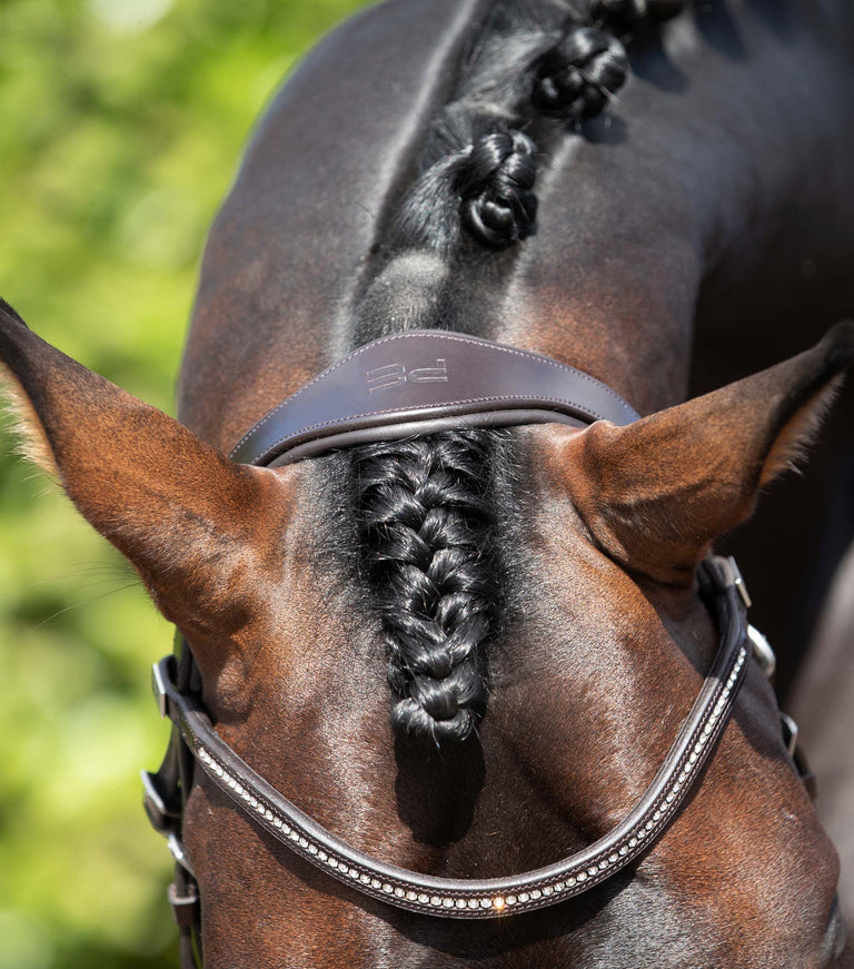 Premier Equine Glorioso Grackle Bridle