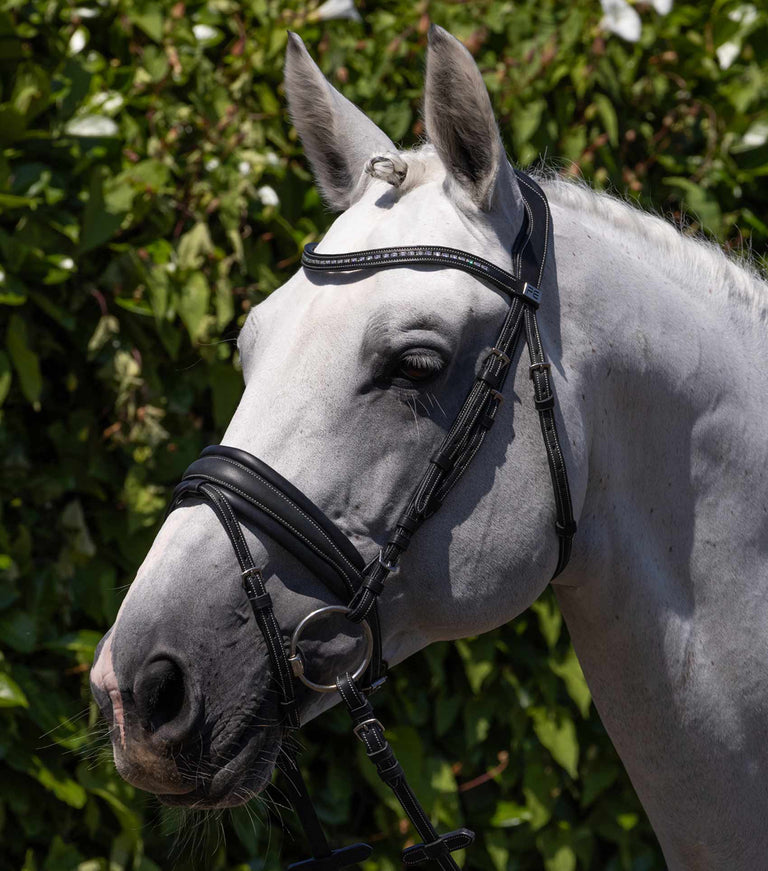 Premier Equine Veneto Anatomical Snaffle Bridle