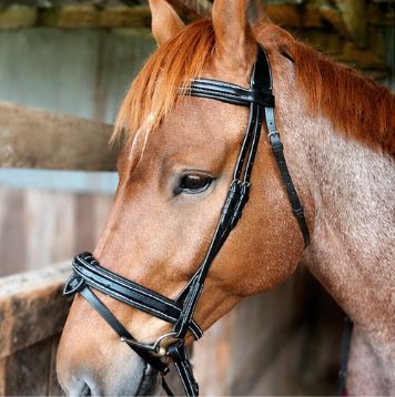 ETS Fancy Stitch Italian Leather Anatomical Bridle and reins. Sale! Full size, Black