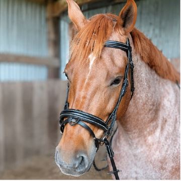 ETS Fancy Stitch Italian Leather Anatomical Bridle and reins. Sale! Full size, Black