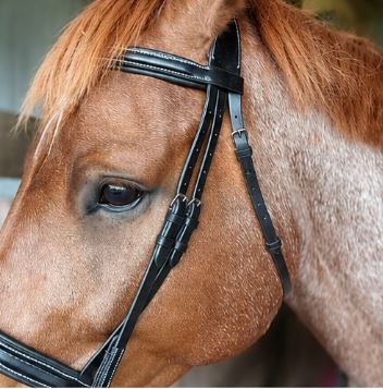 ETS Fancy Stitch Italian Leather Anatomical Bridle and reins. Sale! Full size, Black