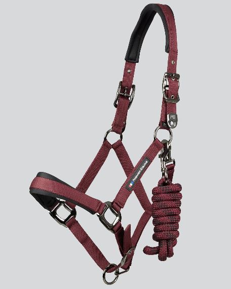 Premier Equine Corda Padded Halter / Head Collar with Lead Rope