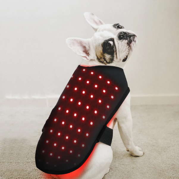 Infrared Red Light Jacket for Dogs or Cats