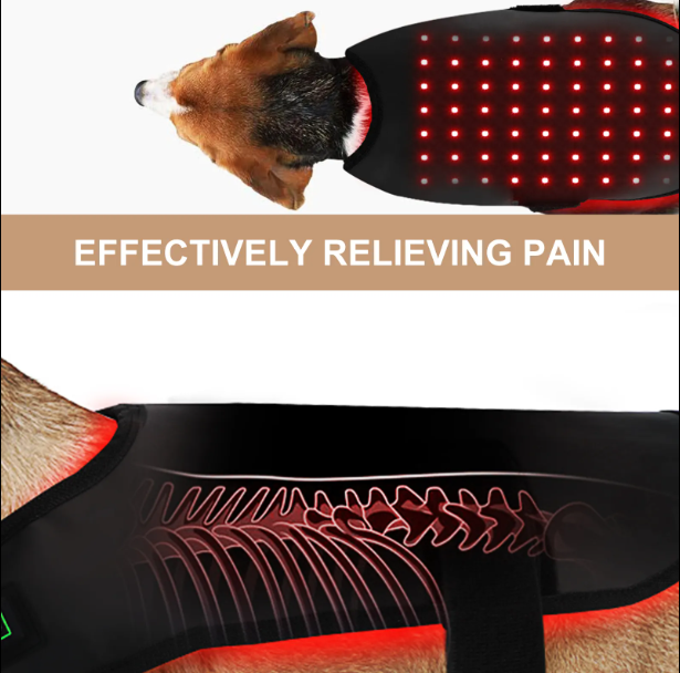 Infrared Red Light Jacket for Dogs or Cats