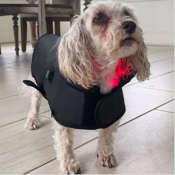 ETS Infrared Red Light Jacket for Dogs or Cats