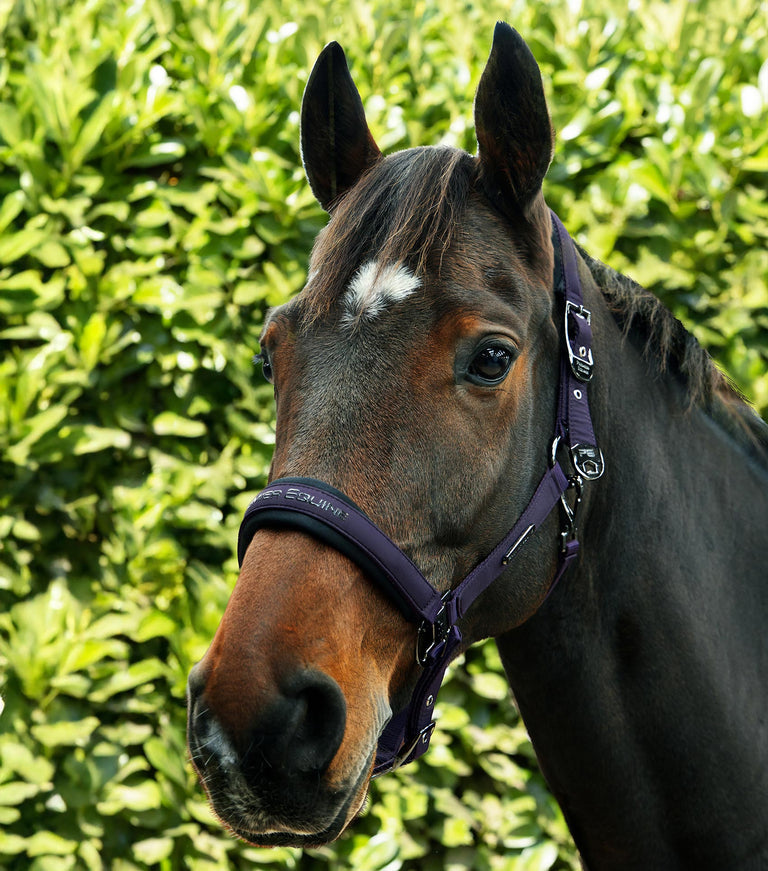 Premier Equine Duco Padded Head Collar with Lead Rope