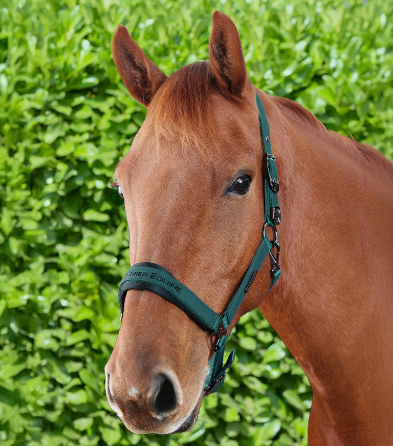 Premier Equine Duco Padded Head Collar with Lead Rope