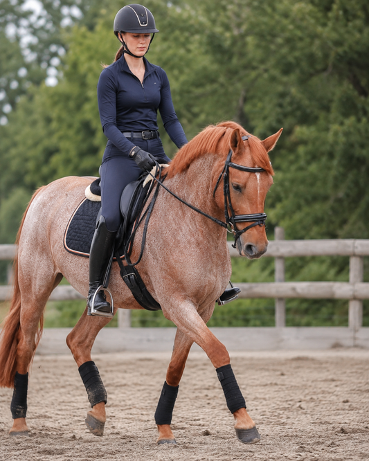 ETS Fancy Stitch Italian Leather Anatomical Bridle and reins. Sale! Full size, Black