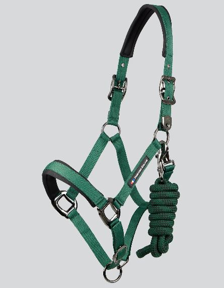 Premier Equine Corda Padded Halter / Head Collar with Lead Rope