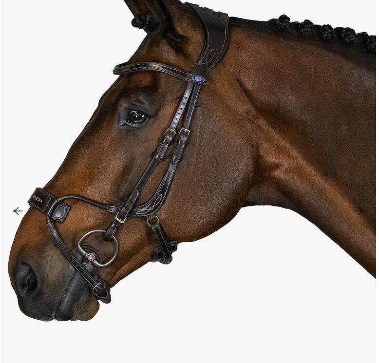 PS of Sweden brown High Jump bridle full size (size 3)